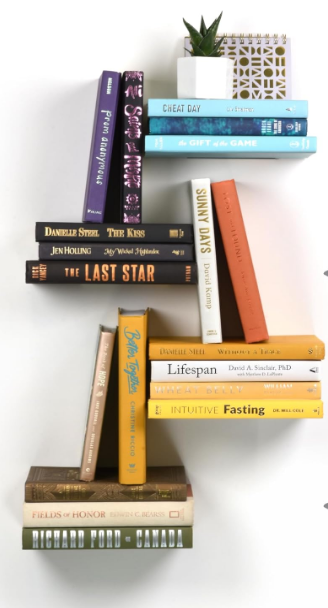 Wall Book Shelf